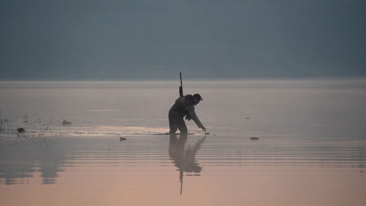 bon brute truand qu rend chasse