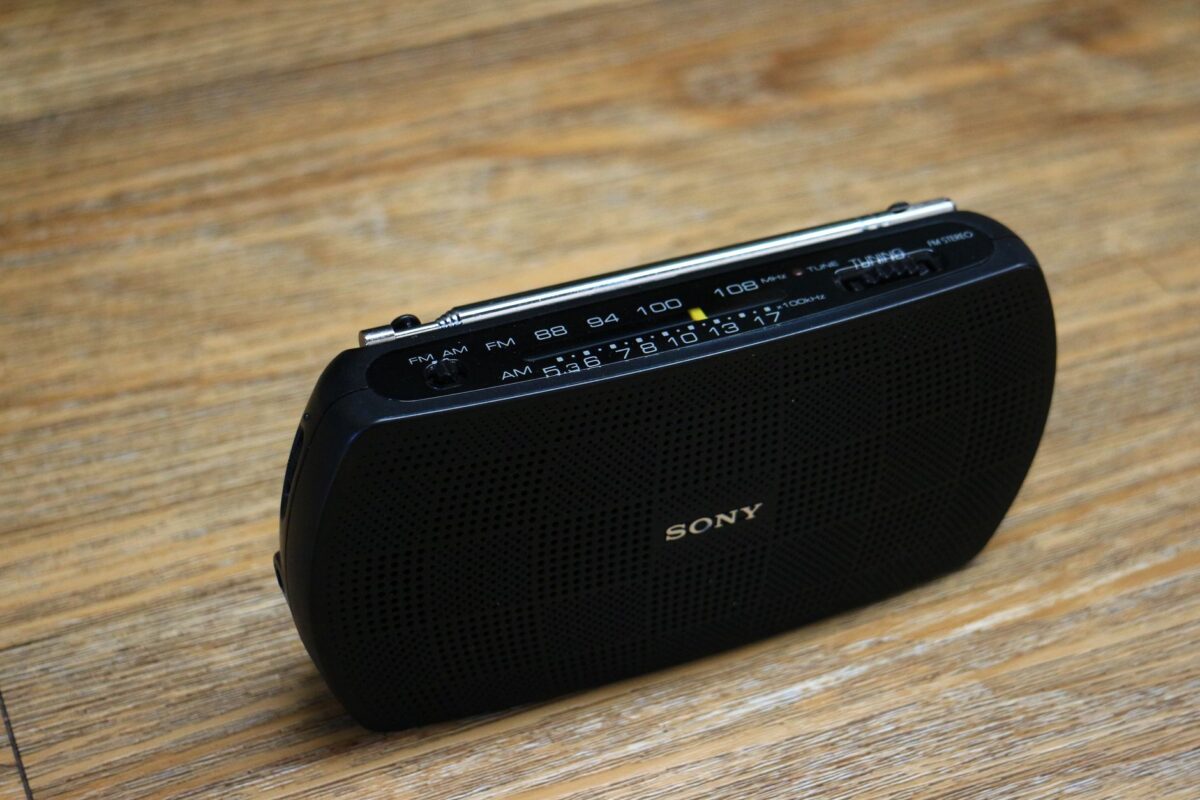 bugs audio sony tv bravia